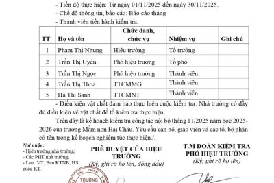 Kế hoạch kiểm tra việc thực hiện nhiệm vụ nhà giáo của giáo viên, tổ/ban/bộ phận tháng 11/2025