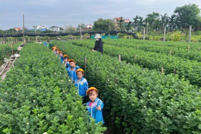 Buổi trải nghiệm dã ngoại ý nghĩa của các con lớp 3 tuổi A1 tại làng hoa Quang Trung