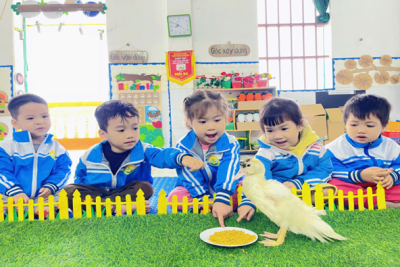 TRẢI NGHIỆM KHÁM PHÁ “CON VỊT”  Bài học nhiều ý nghĩa của các con lớp 3 tuổi A1 Trường mầm non Hải Chính